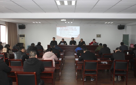 履行“兩會”職責、促進企業(yè)發(fā)展